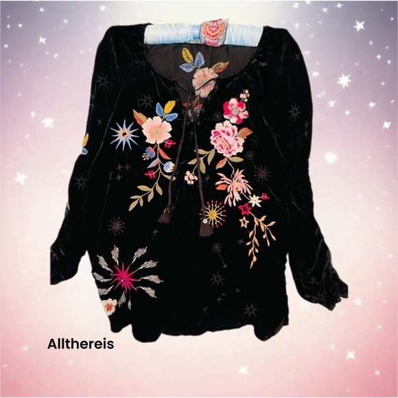 HP๐ JohnnyWas Velvet top  ๐บ๐ธ - Picture 4 of 16